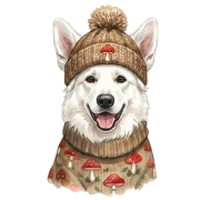 owczarek szwajcarski.png