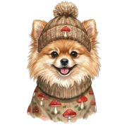 pomeranian.png