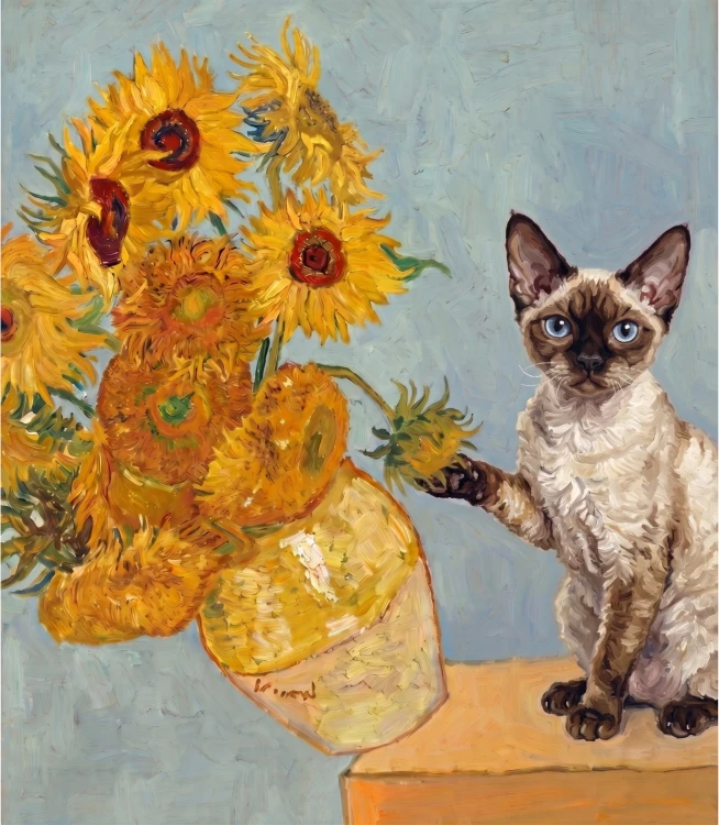 Kot devon rex.png