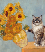 Maine coon.png