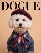 Bichon.jpg