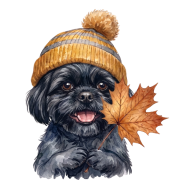 shih tzu czarny.png