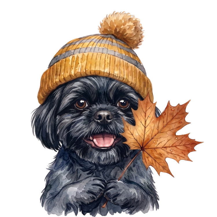 shih tzu czarny.png