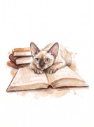 Devon Rex.jpg